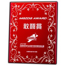 WS-95004糖果紅鏡面鋼琴烤漆獎牌